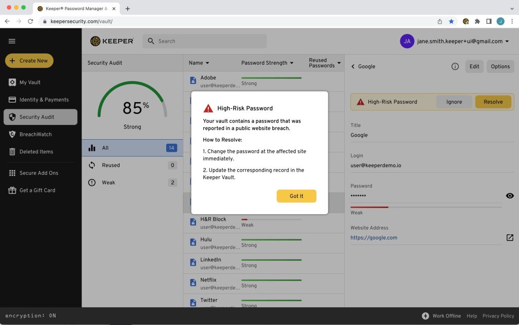 Keeper Security Audit view Record with High Risk Password