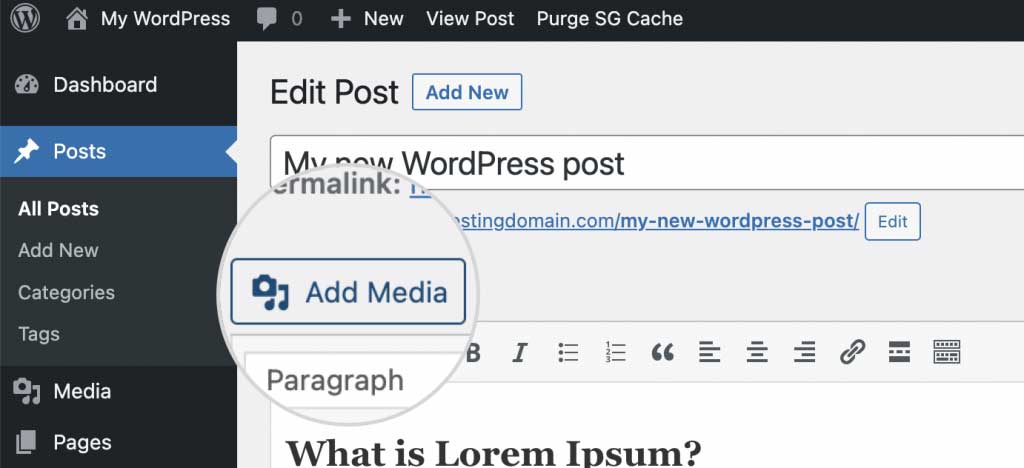 WordPress add media classic editor